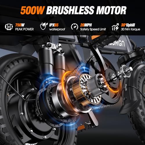 Electric Bike with 500W Motor and 499Wh Removable Battery O785