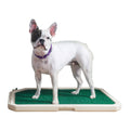 Indoor Pet Toilet L270181