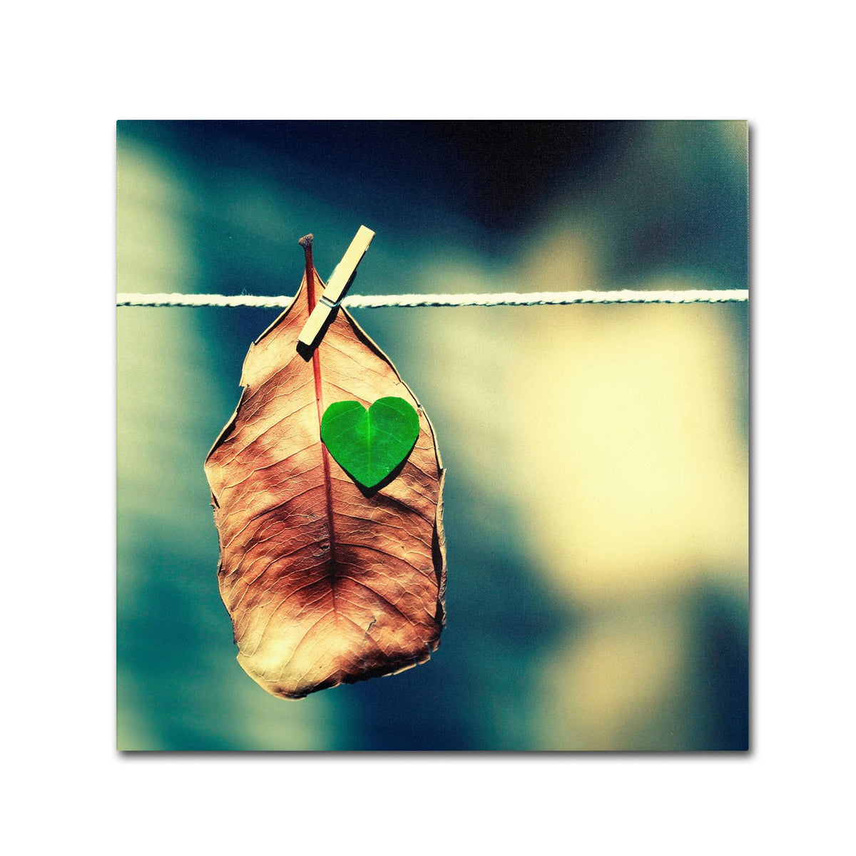 Canvas Art S641726