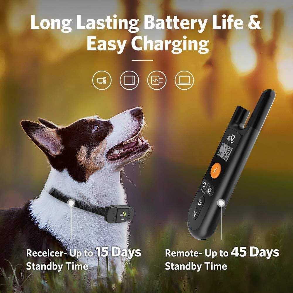 Dog Training System C7161