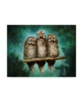 Canvas Art 35x47 P837