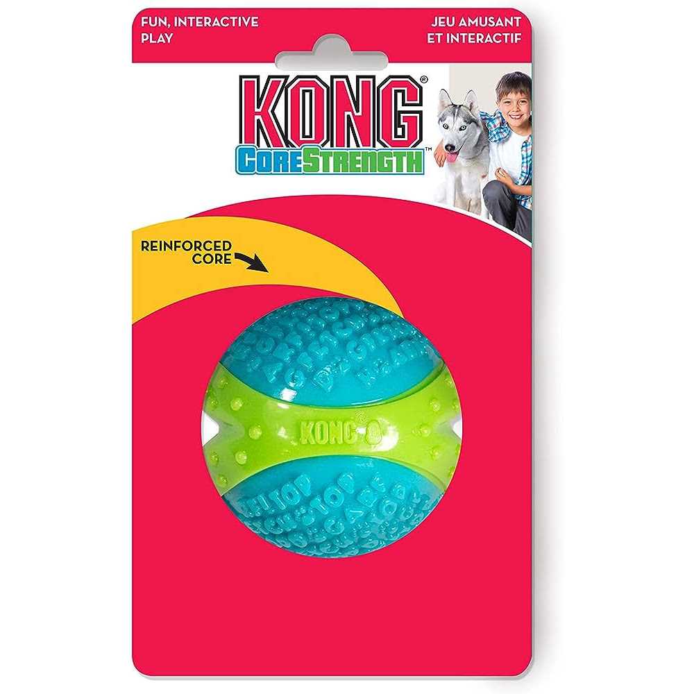 Bone Dog Toy H4636