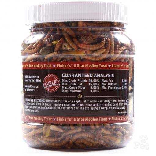 Bearded Dragon Medley Treat F362637