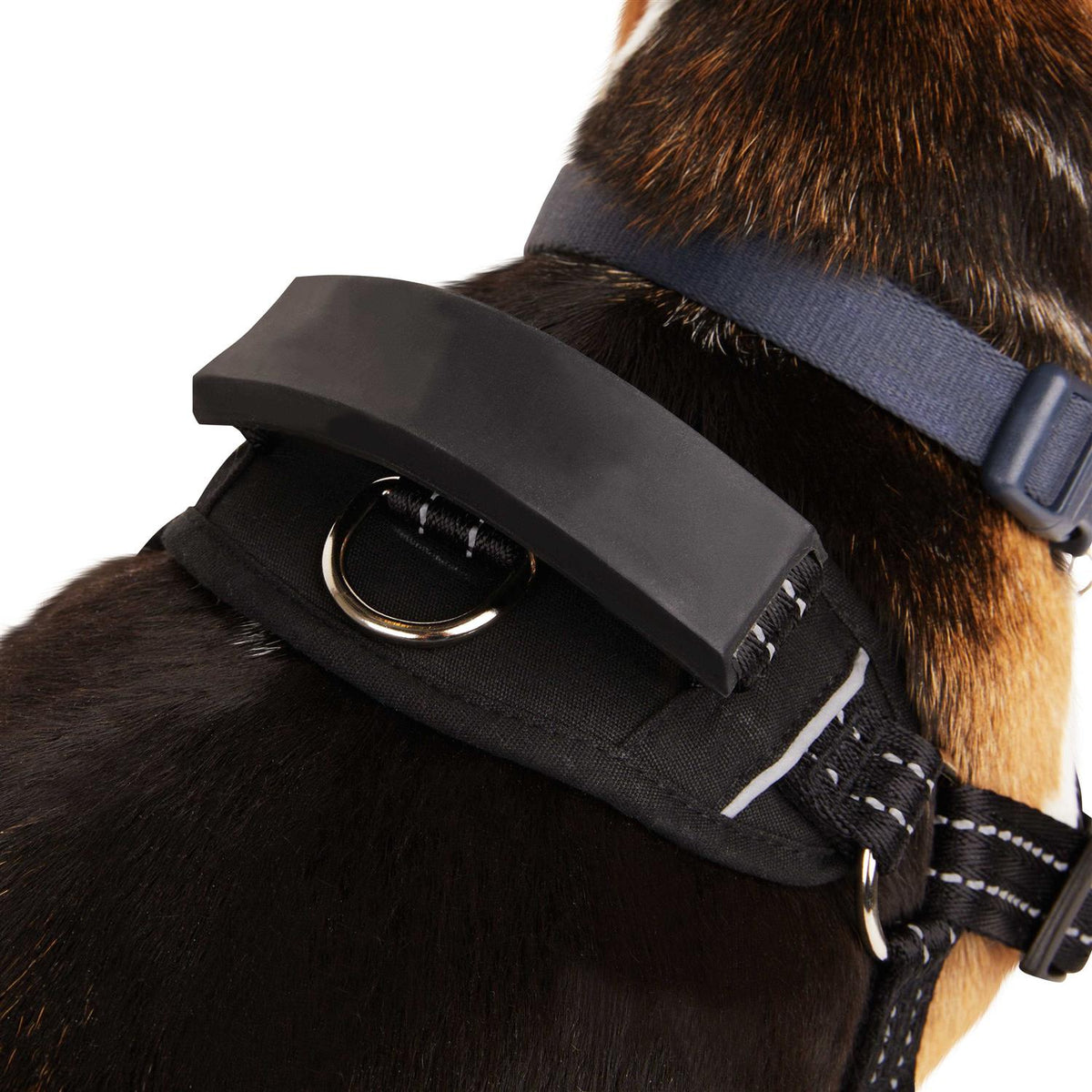 Easy On Training Dog Harness O751