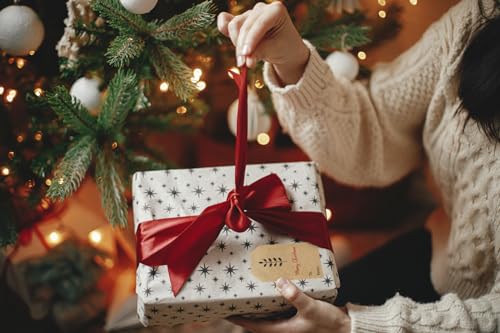 Christmas Gift Tag Adhesive Stickers, 2 x 3 Inch, Roll of 100 U427
