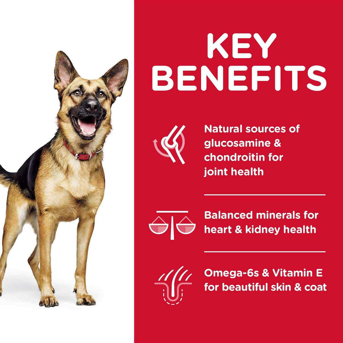Dry Dog Food W303