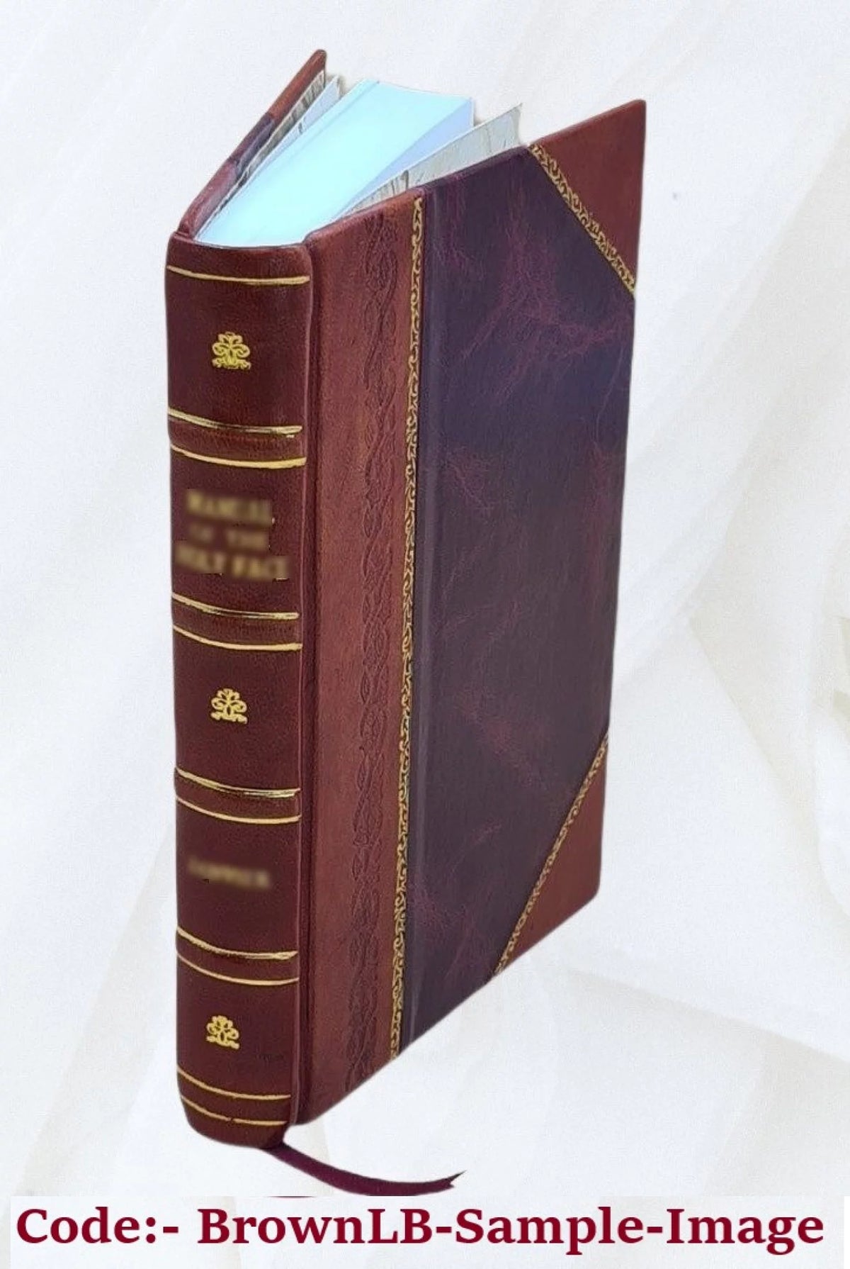 School Life Notes and Poetry Leather Bound W403