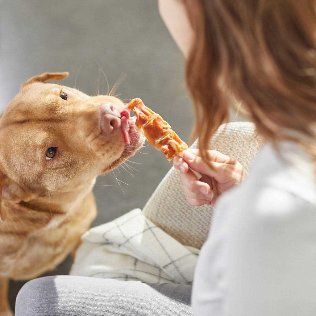 Chicken Wrapped Rawhide Dog Treats T93219