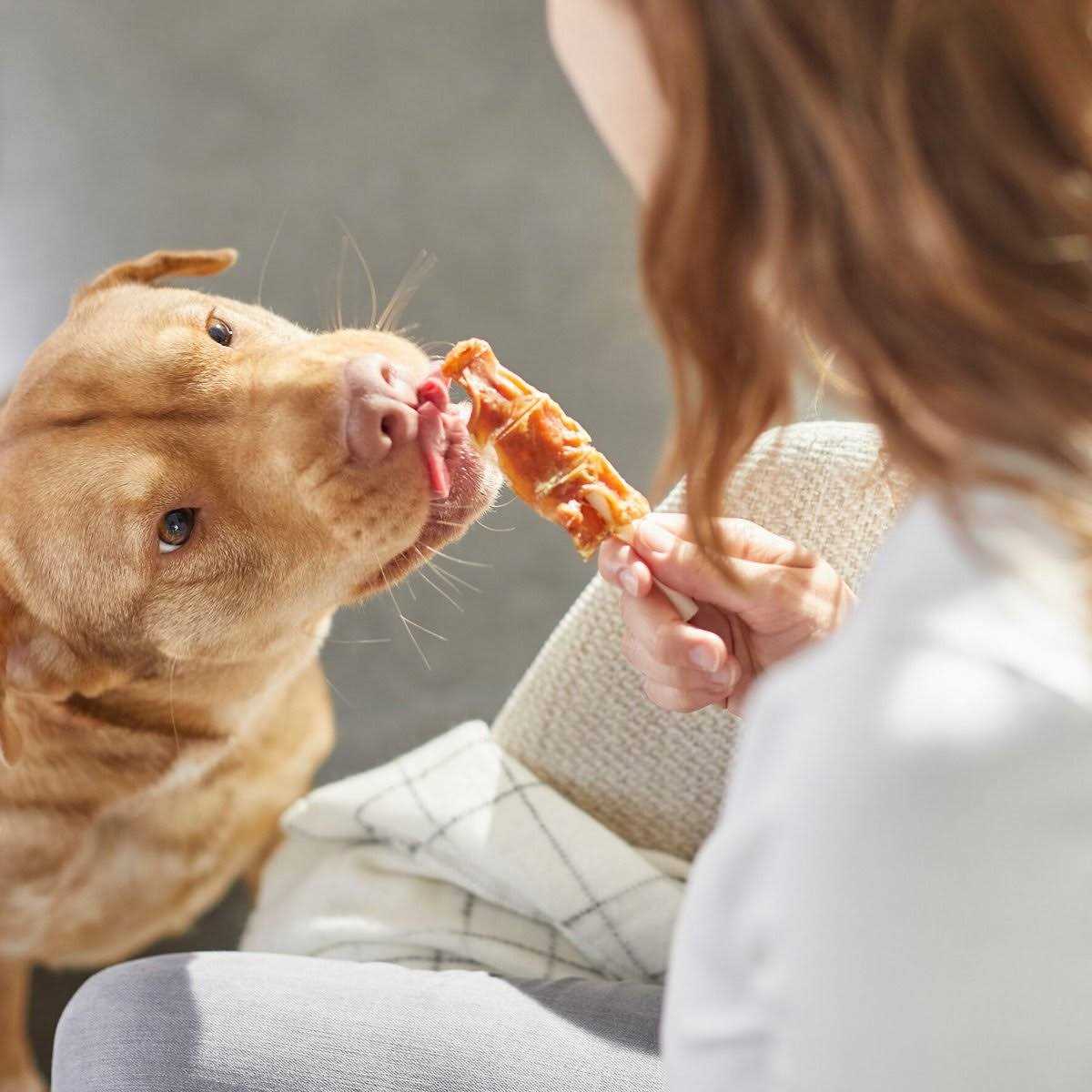 Chicken Wrapped Rawhide Dog Treats T93219