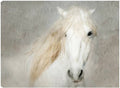 32x24 Canvas Art C15417