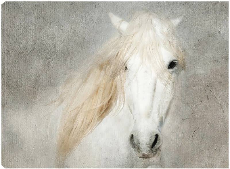 32x24 Canvas Art C15417