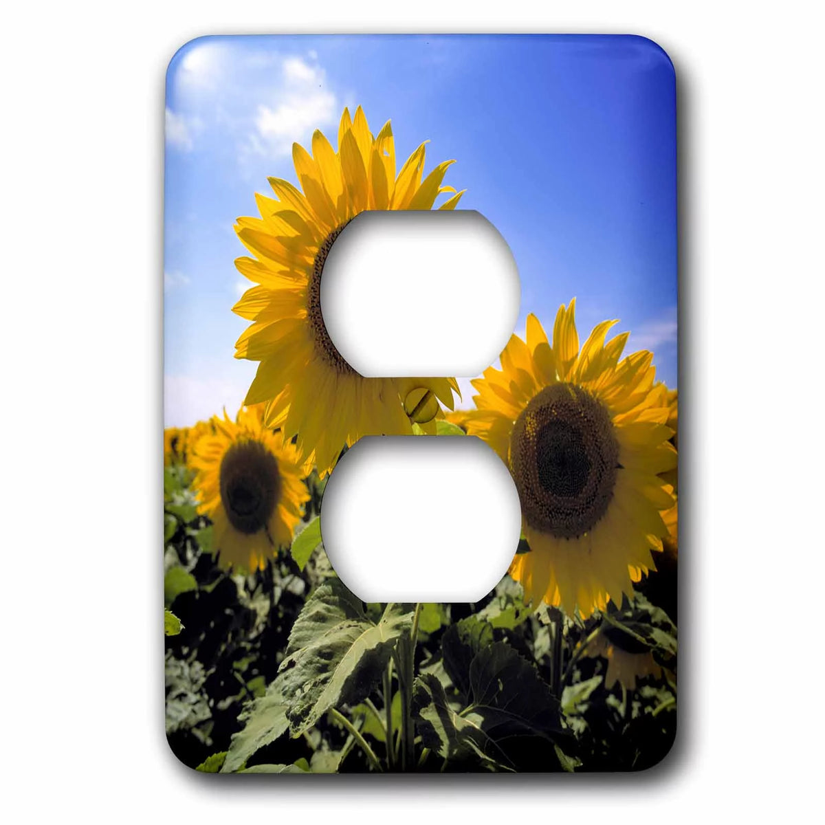 Sunflowers in Cass County 2 Plug Outlet Cover T2959