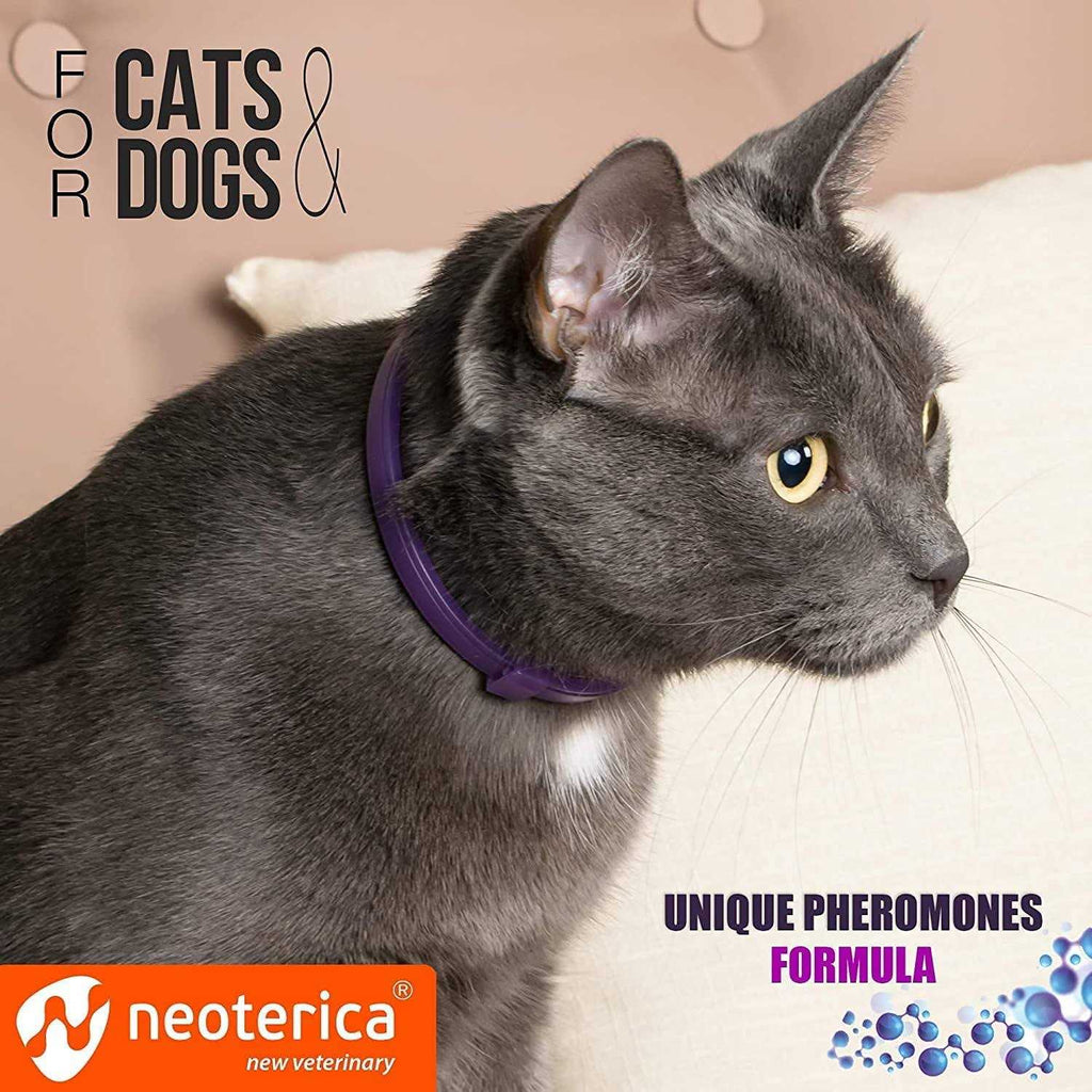 Cat Calming Collar H111