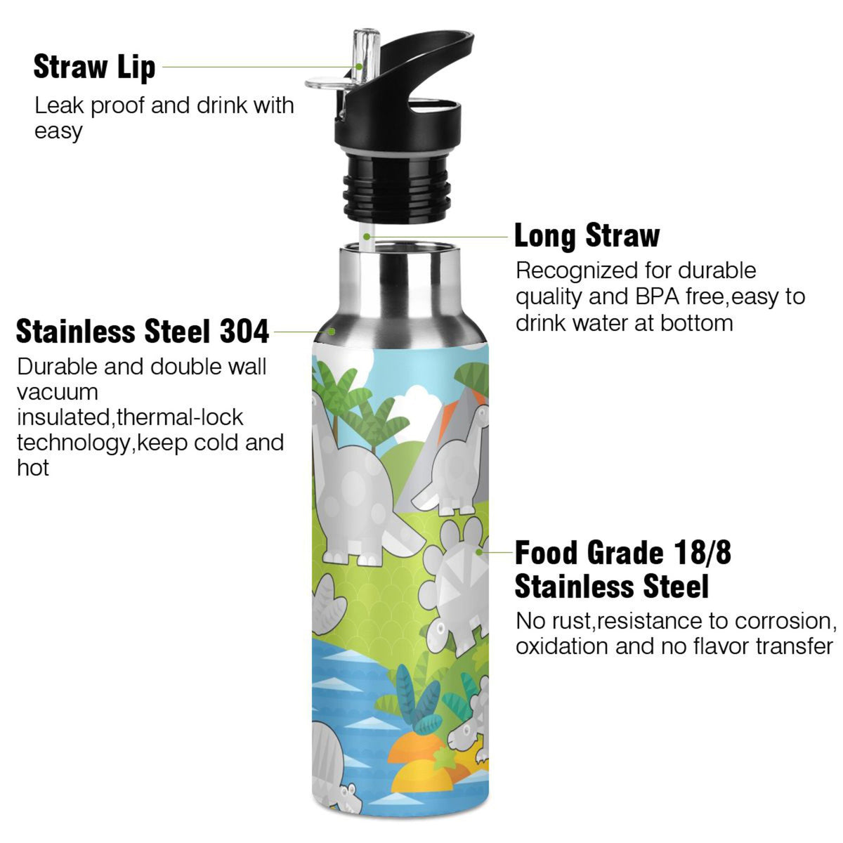 Gray Dinosaurs Stainless Steel Water Bottle with Straw Lid 20 OZ V479610