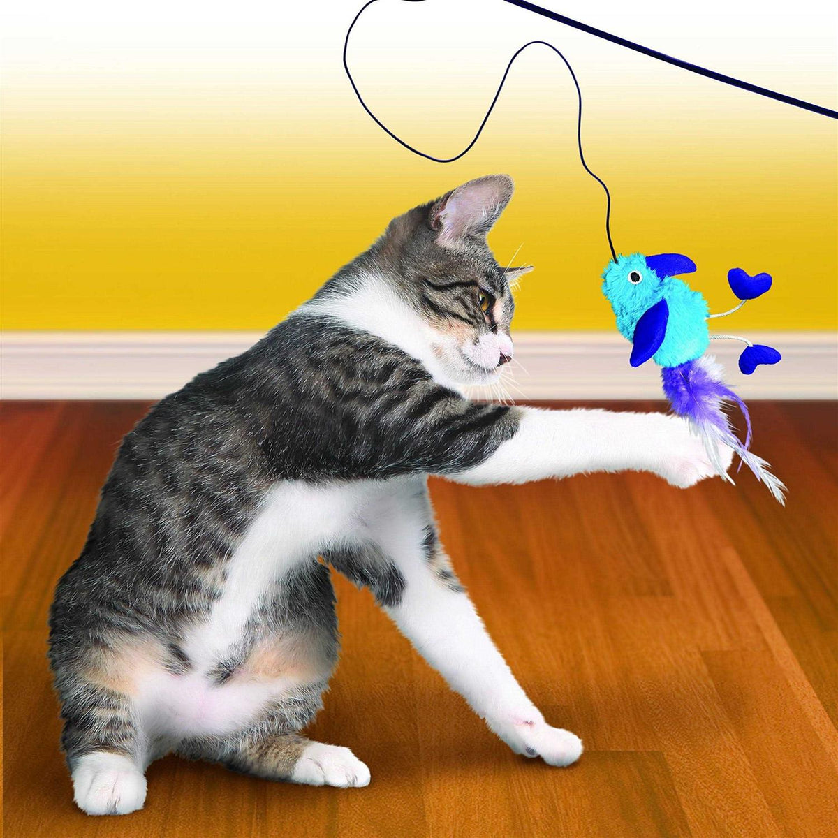 Cat Toy I60997