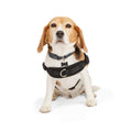 Easy On Training Dog Harness O751