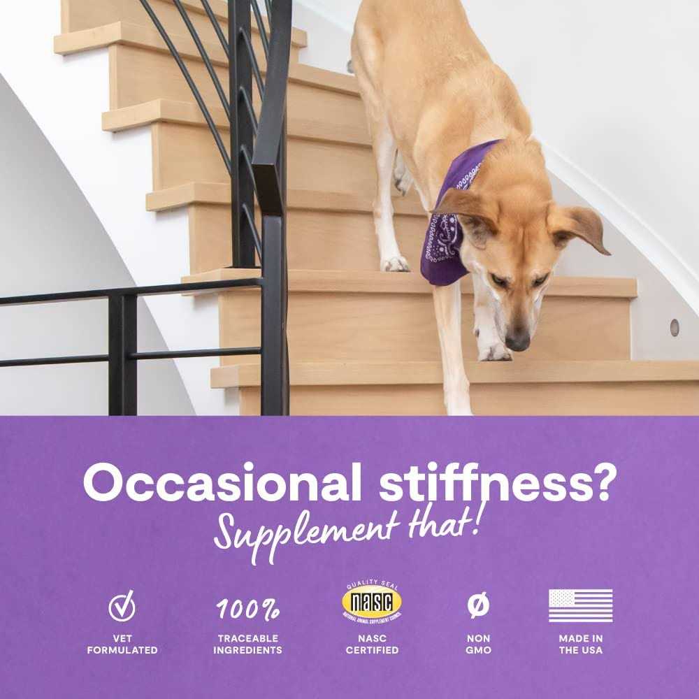Dog Hip & Joint Chews F20496