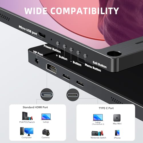 15.6" IPS HDR 1920X1080 FHD Portable Monitor R537539