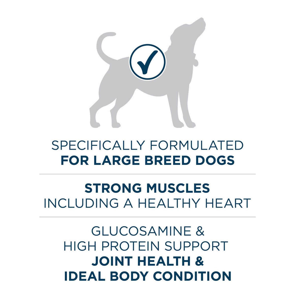 Natural Large Breed Adult Dry Dog Food U784